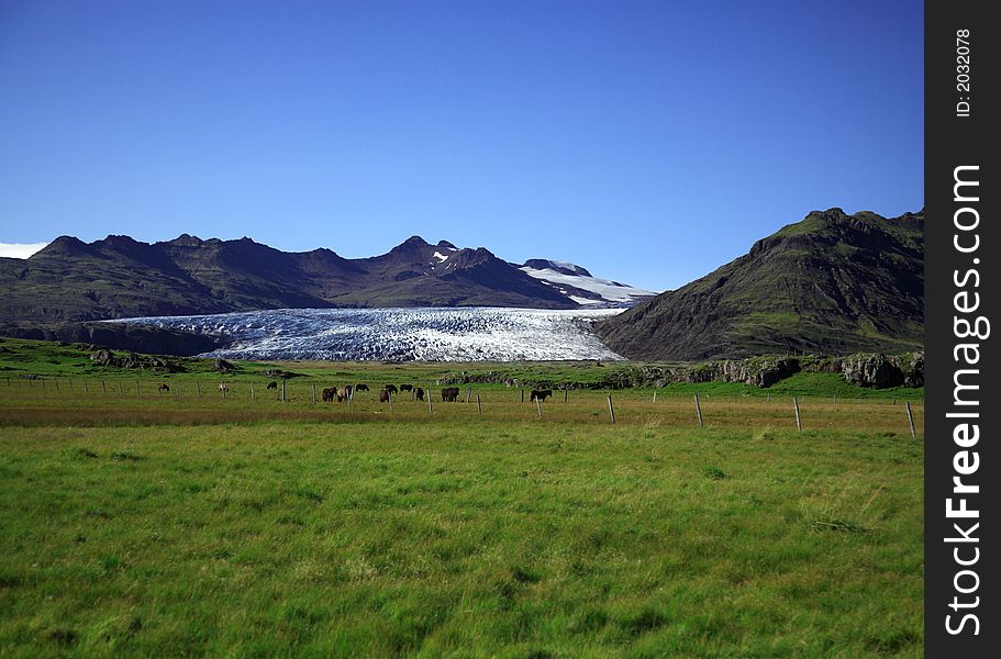 View of the glacier over the fields Iceland