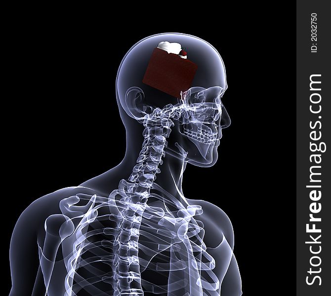 X-Ray of a male skeleton thinking about chocolate cake. Isolated on a black background. X-Ray of a male skeleton thinking about chocolate cake. Isolated on a black background