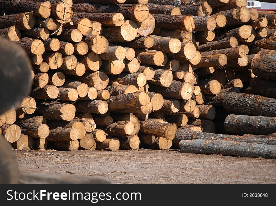 Wood logs stacked up in lumber yard