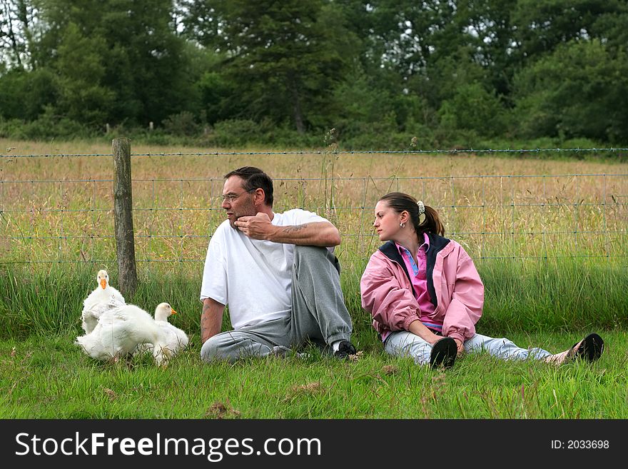 Man and young woman together, sitting in a field with three baby goslings next to the man. Man and young woman together, sitting in a field with three baby goslings next to the man.