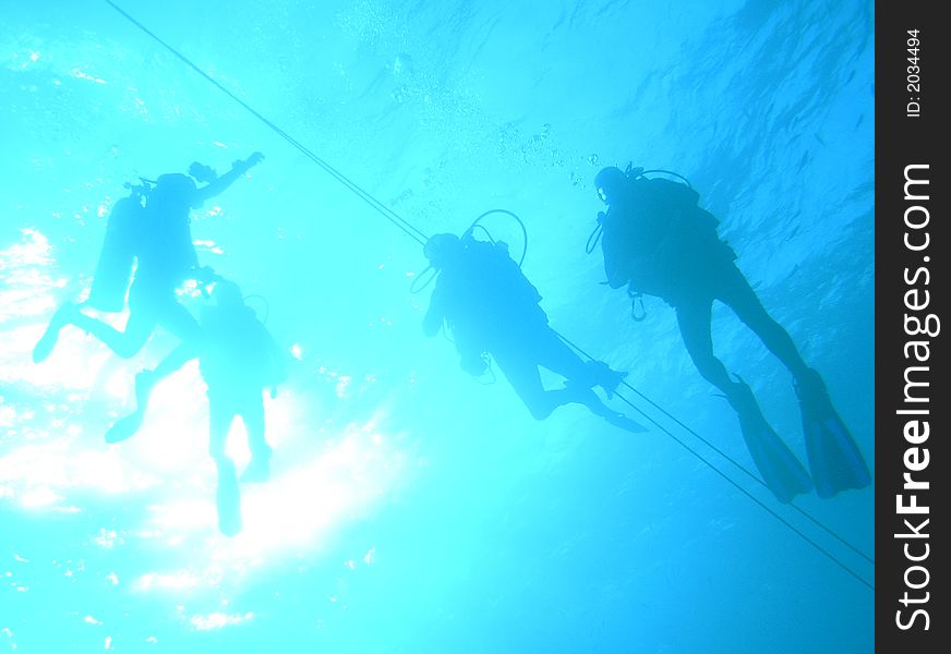 Divers waiting on the line before surfacing. Divers waiting on the line before surfacing