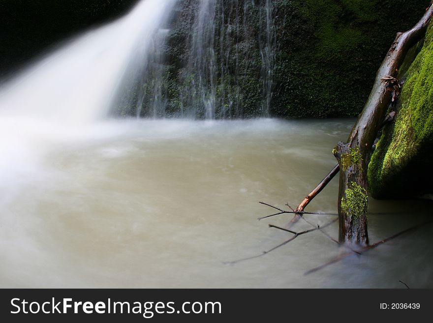 Lubber in water of the creek