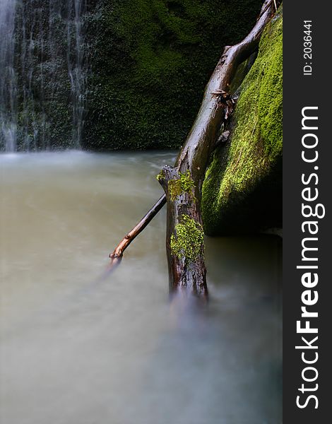 Branch in water of the river. Branch in water of the river