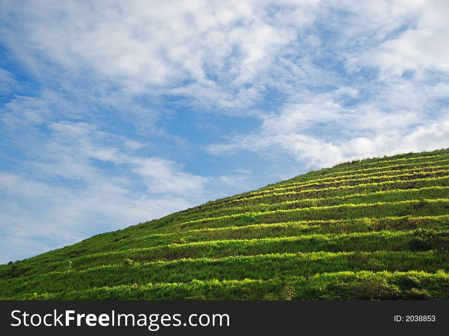 Green hill and blue sky with cloud