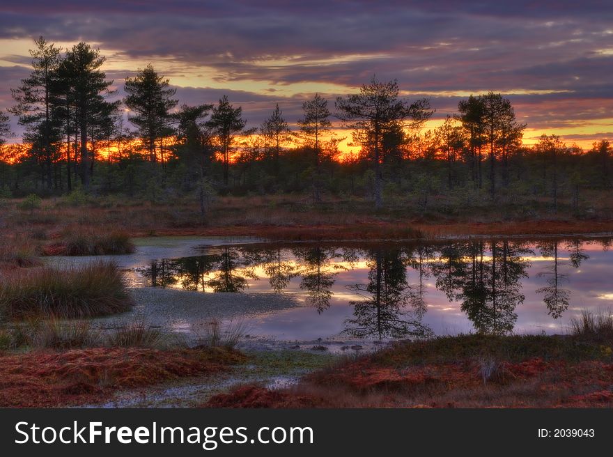 Autumn sunrise on the most beautiful bogs of Estonia. Autumn sunrise on the most beautiful bogs of Estonia