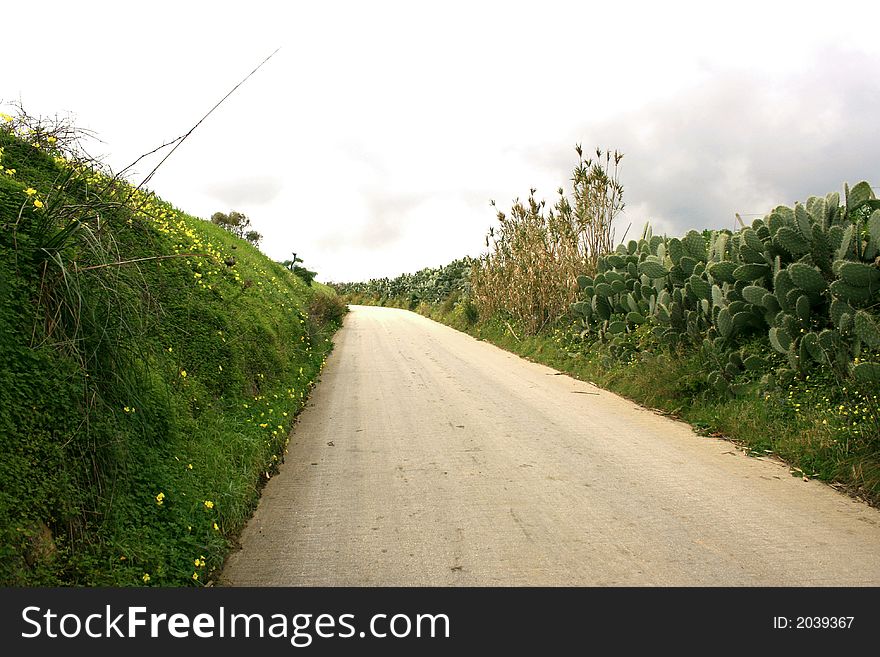 Prickly pears country Road. Cultivation. Fruit plants. Panorama open air . Sicily