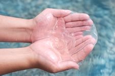 Jellyfish In Hand Stock Image