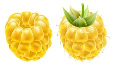 Yellow Ripe Raspberries On A White Background. Royalty Free Stock Image Yellow Ripe Raspberries On A White Background. Royalty Free Stock Image