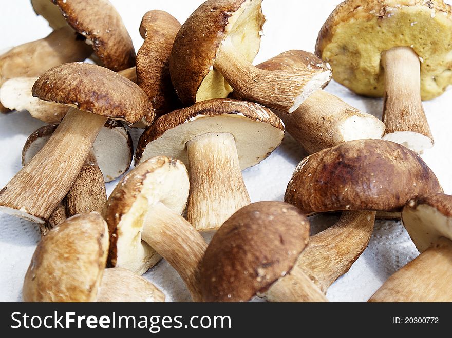 Ceps a useful product which contains many vitamins necessary for the person