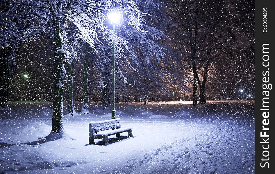 Winter Park At Night