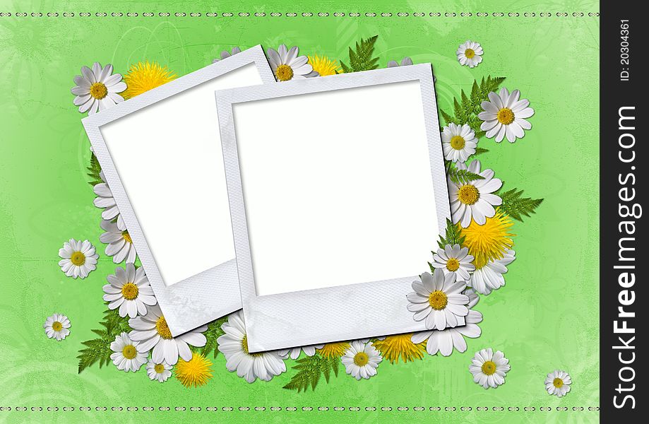 Daisy card on green background