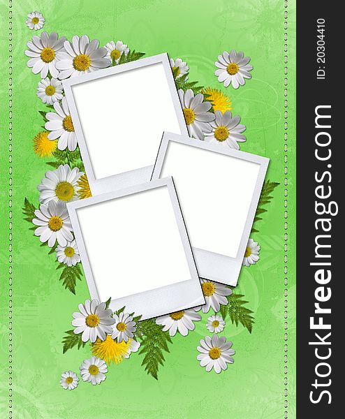 Daisy card on green background