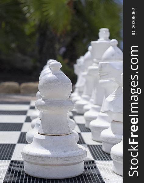 Chess set, row of pieces outside on the background of palms