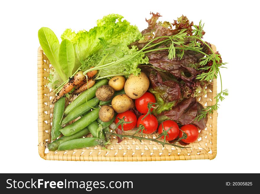 Freshly picked garden produce of vegetables and salad leaves in a basket isolated against white