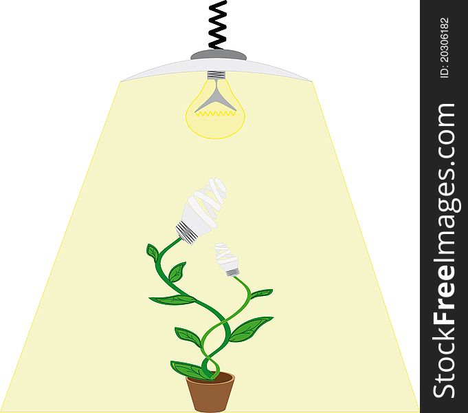 Evolution ecology bulb light - illustration. Evolution ecology bulb light - illustration