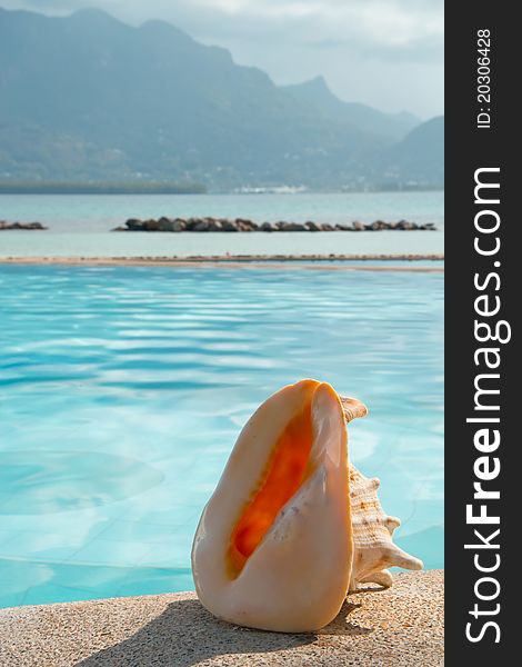 Large shell by swimming pool side, with beautiful background of sea and mountain