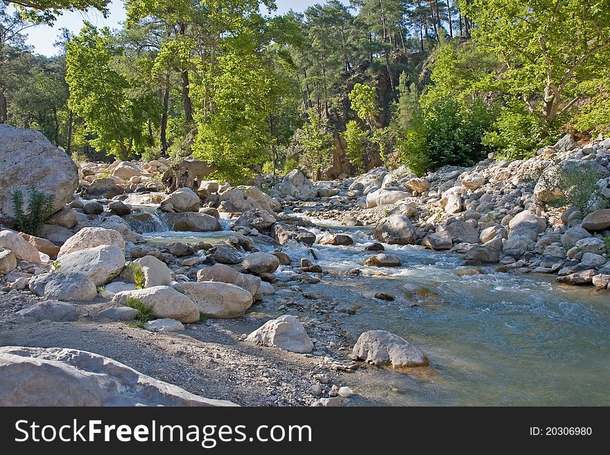 River in nature park near kemer, antalya, turkey. River in nature park near kemer, antalya, turkey