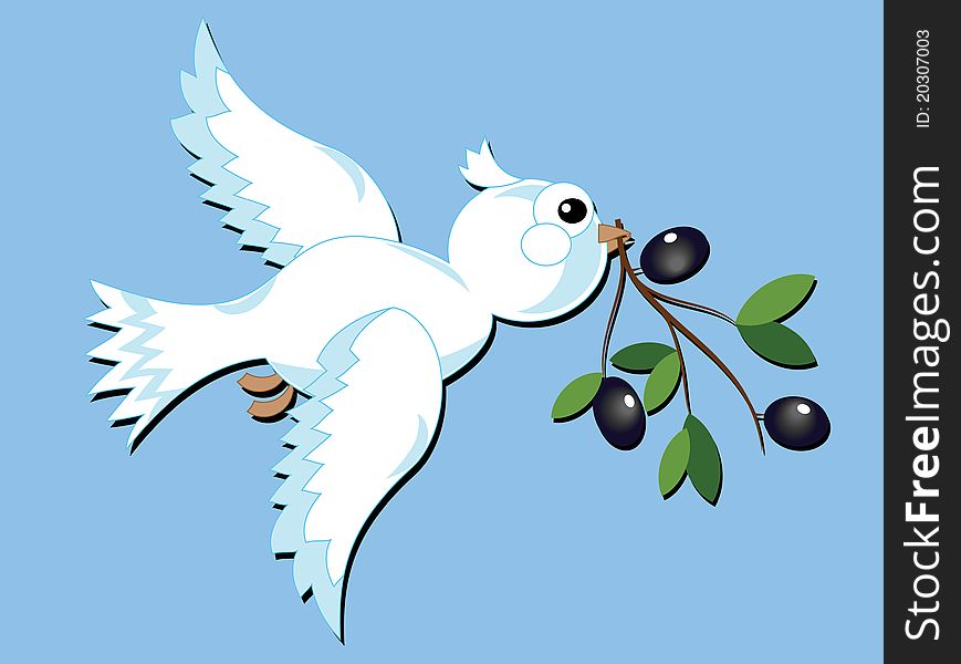 White dove with olive branch at the sky background.