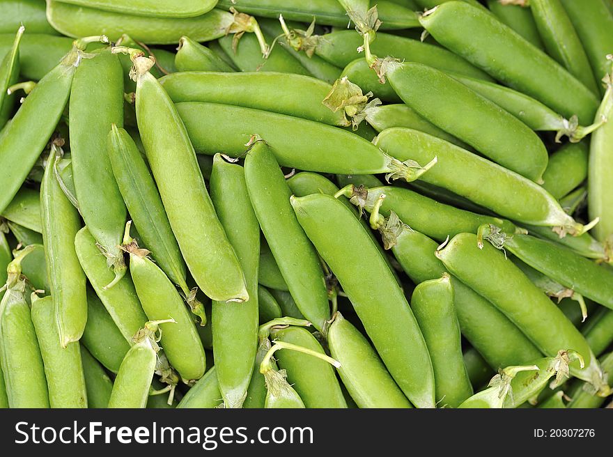 Close up of many picked peapods. Close up of many picked peapods