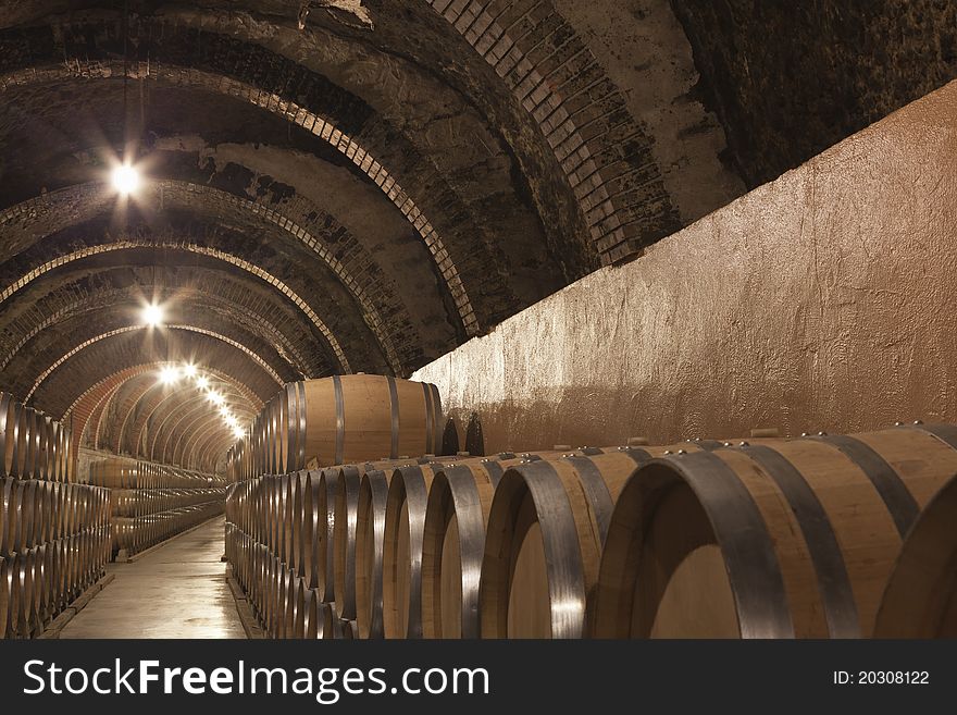 The wine in the cellar