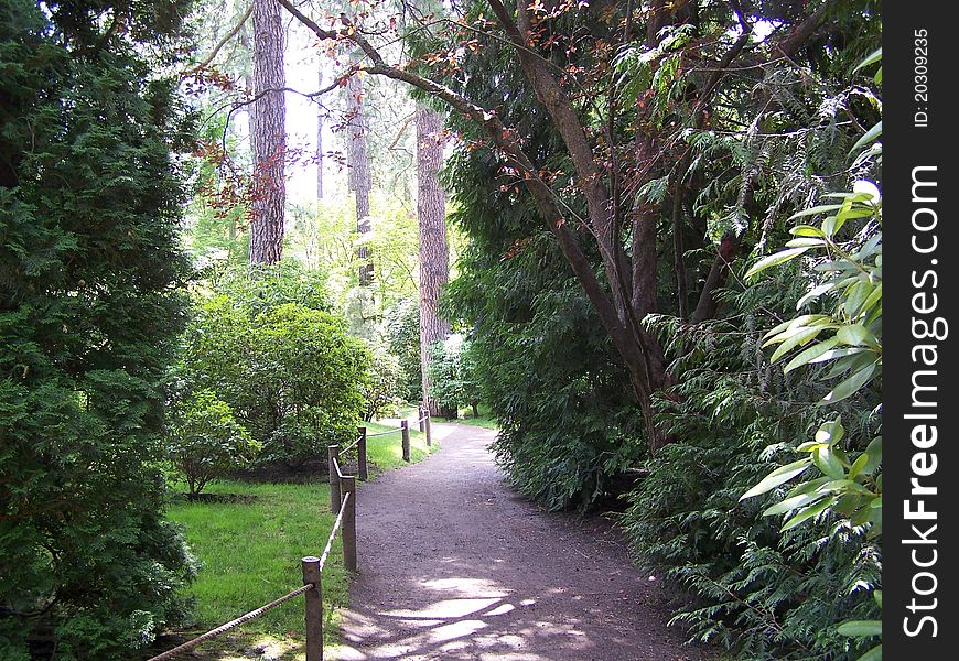 An illuminated pathway leading to the unknown.