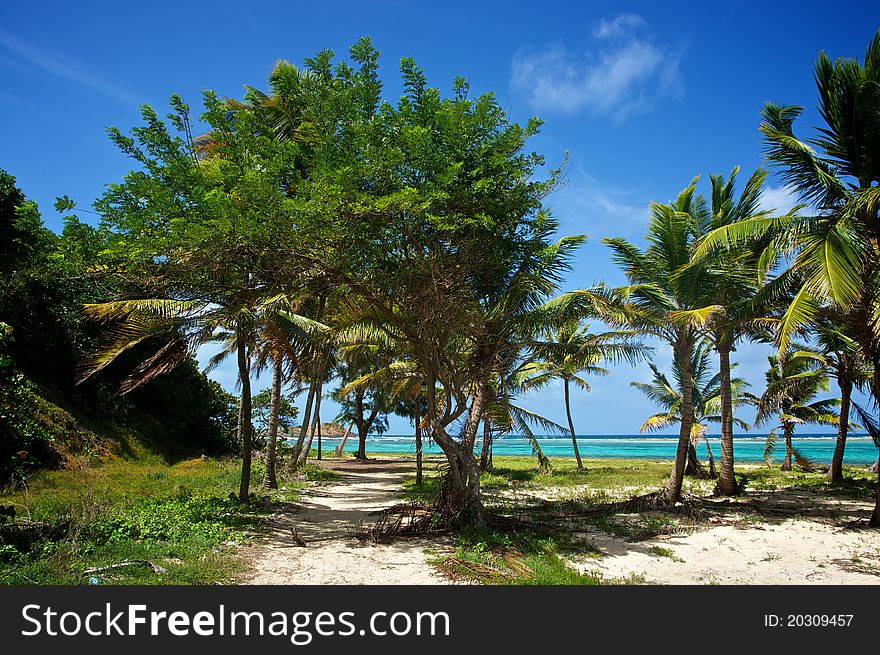 Sand road leads to a deserted beach on Union Island in the Grenadines. Sand road leads to a deserted beach on Union Island in the Grenadines.