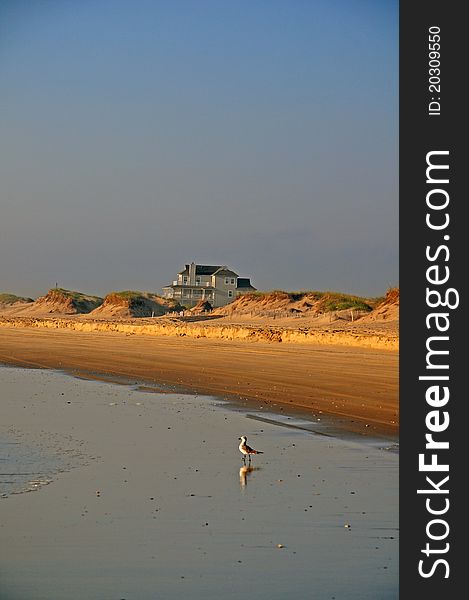 Early morning at shore, outer banks of North Carolina. Early morning at shore, outer banks of North Carolina