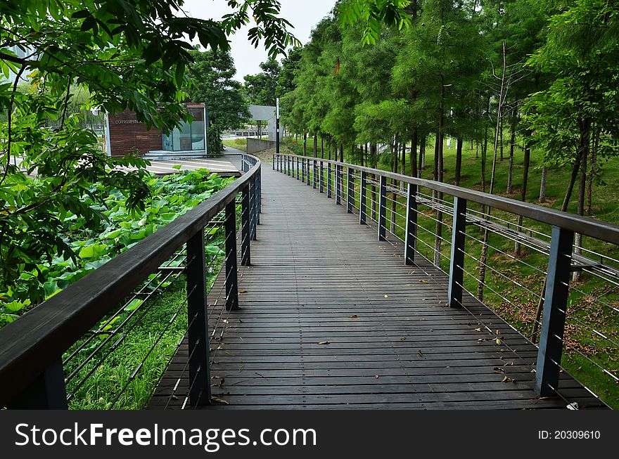 Wooden bridge with green trees