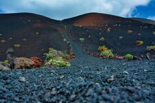 Free Wanderweg La Palma Royalty Free Stock Images - 203070999