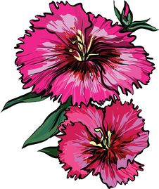Two Pink Flower With Green Leaves Royalty Free Stock Images Two Pink Flower With Green Leaves Royalty Free Stock Images