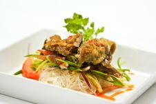 Roast Duck Salad Stock Images