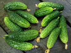 Cucumbers Stock Photography