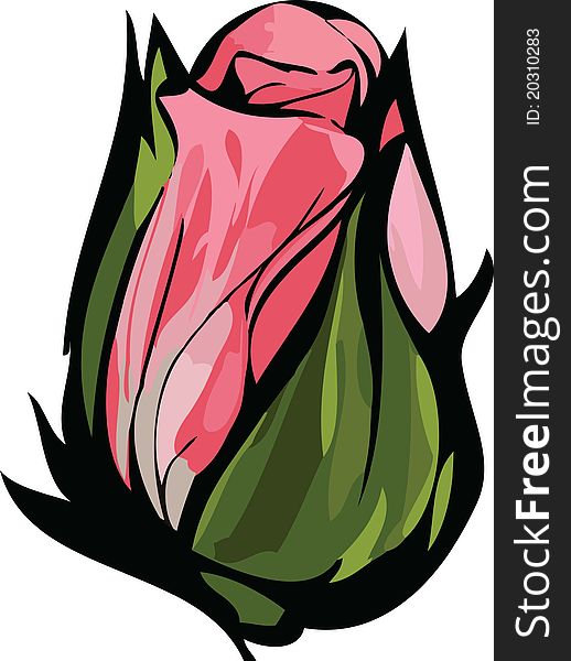 Color image drawing delicate pink rosebud closed. Color image drawing delicate pink rosebud closed