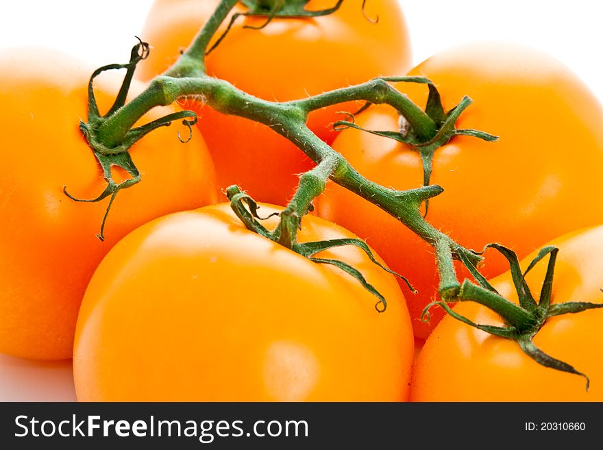 Close up on group of fresh yellow tomatoes isolated on white background. Close up on group of fresh yellow tomatoes isolated on white background