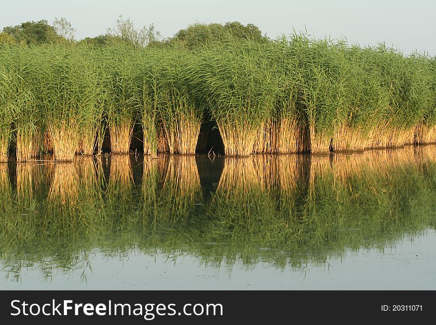 Reflections on a small river before sunset. Reflections on a small river before sunset