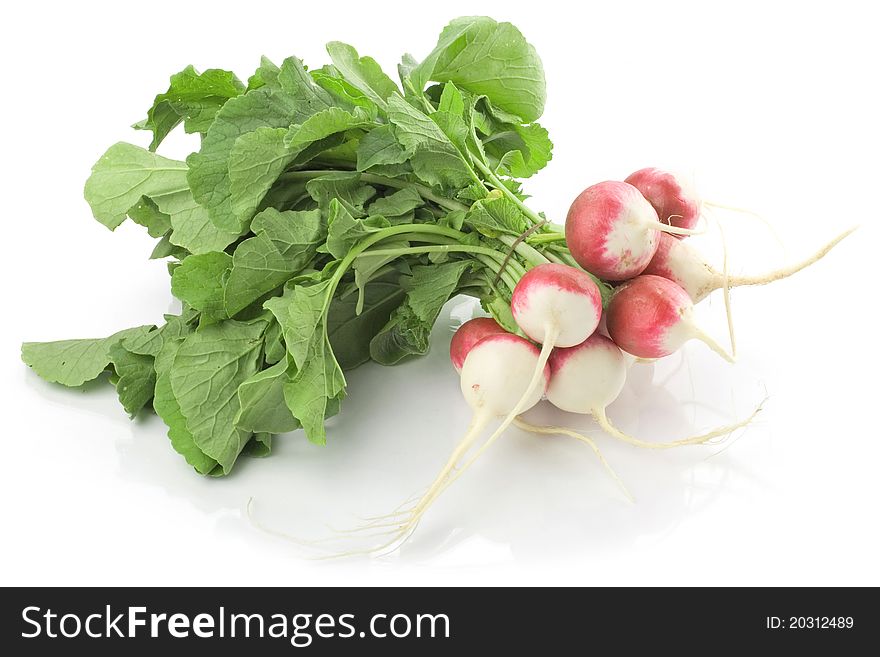 Fresh radishes isolated