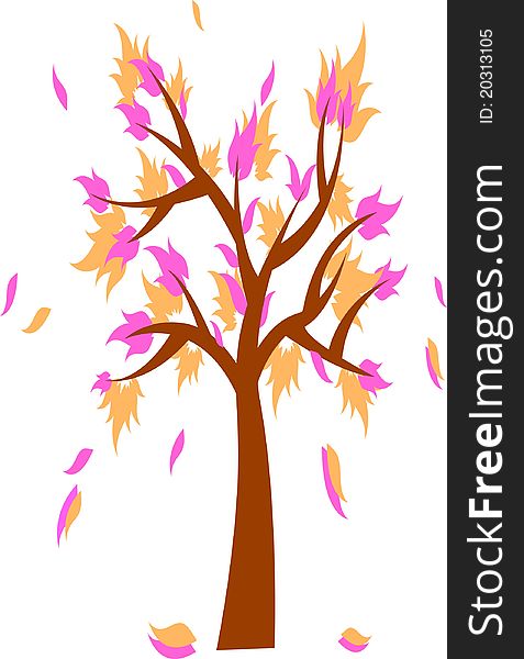 Vector The Sakura tree is  seasoning autumn