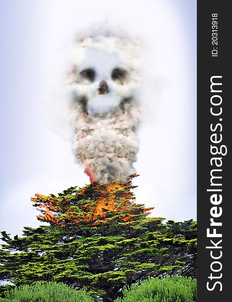 Abstract presentation which symbolizes the decay and the death of the environnment caused by forest fires. The smoke coming from a burning tree becomes like a skull. Abstract presentation which symbolizes the decay and the death of the environnment caused by forest fires. The smoke coming from a burning tree becomes like a skull.