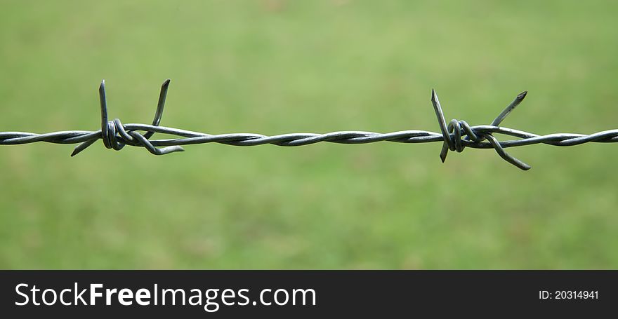 Barbed wire on green background. Barbed wire on green background.
