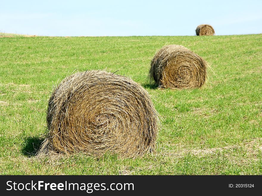 Dry hay on summer meadow