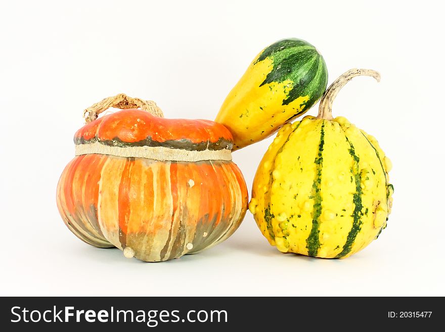Miscellaneous colorful decorative gourds, isolated. Miscellaneous colorful decorative gourds, isolated