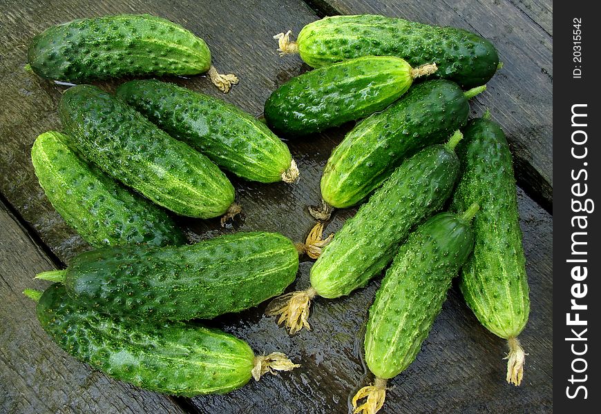 Fresh cropped cucumbers on old wooden background in rainy day