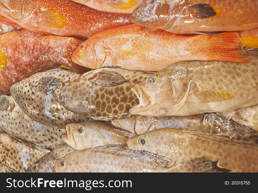 Various sea fish in Philippine wet market