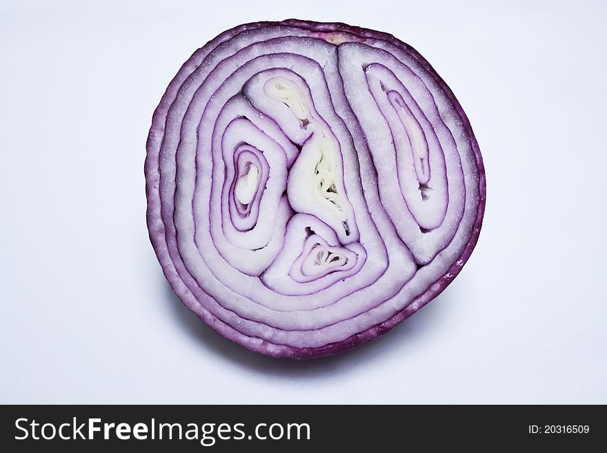 Circle of fresh sphere onion. Circle of fresh sphere onion
