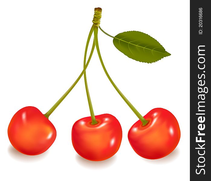 Vector. Three cherries with leaf isolated on a white background. Vector. Three cherries with leaf isolated on a white background.