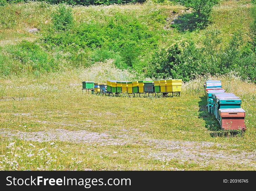 Large many bee hive on a field