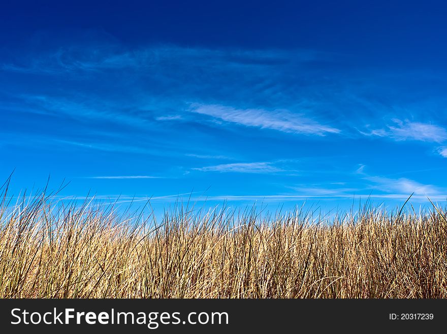 A dune with blue sky in the background