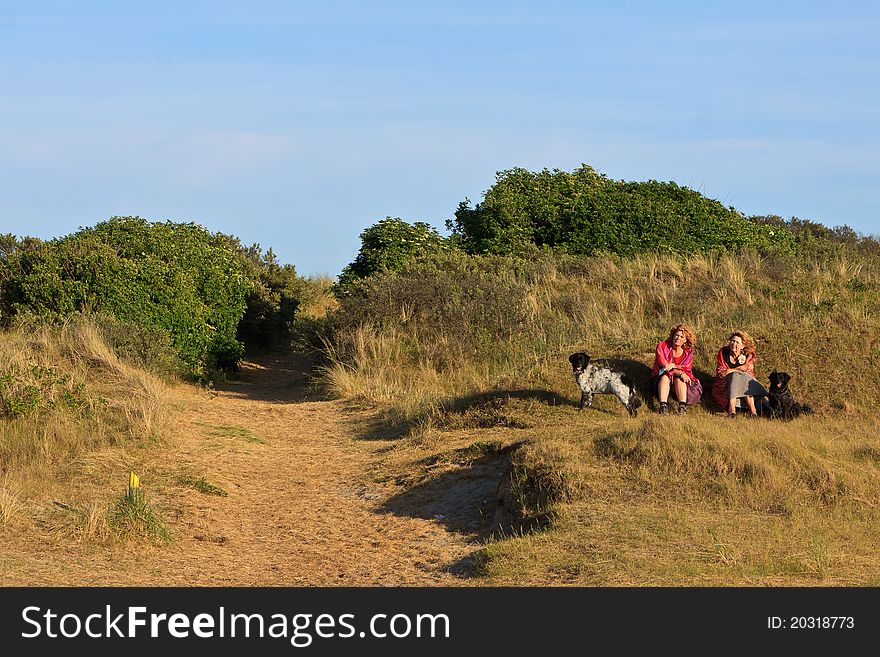 Women with dogs sitting in the dunes on a sunny day