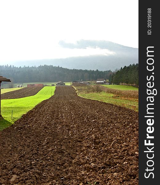 A country landscape with cultivated lands. A country landscape with cultivated lands.