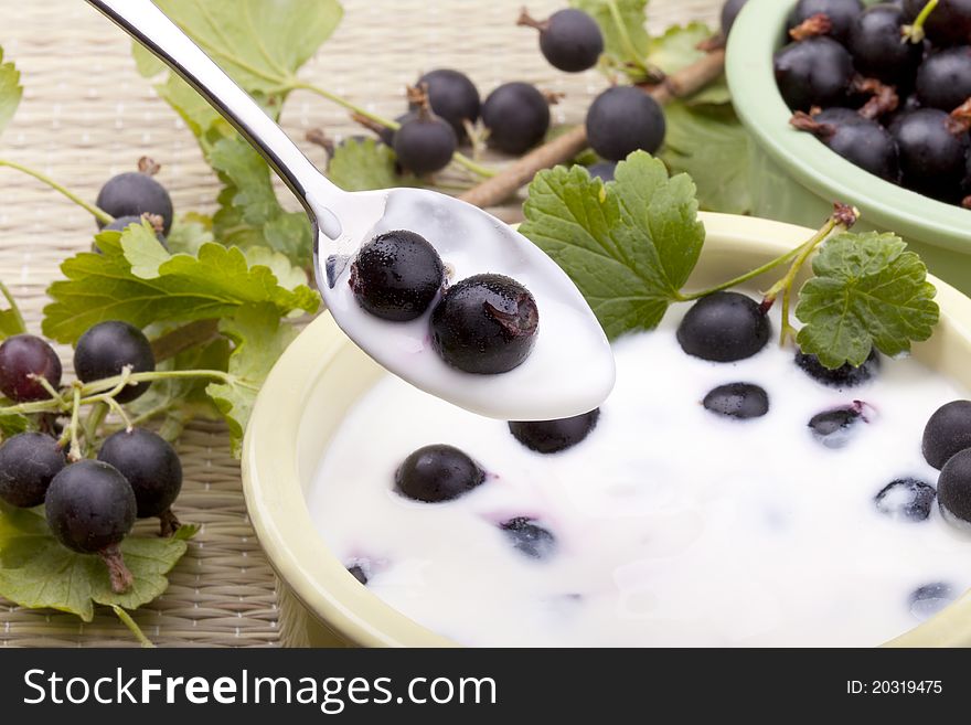 2+ Yogurt plain Free Stock Photos StockFreeImages